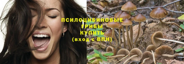 а пвп мука Горняк