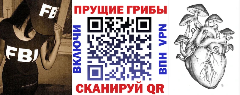 Купить  Курильск  Галлюциногенные грибы MAGIC MUSHROOMS 
