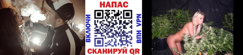 Конопля сатива  Купить закладки  Курильск 